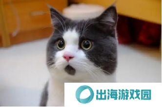 逆水寒2